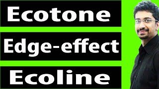 What is Ecotone Edge Effect and Ecocline  Difference Between them  Part4 [upl. by Dorcy]