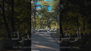 Surah Alam Nashrah  سورۃالانشراح Most Beautiful Tilawat  Quran Recitation [upl. by Dearden]