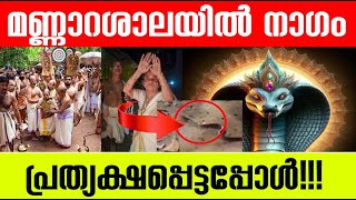 മണ്ണാറശാലയിൽ നാഗം നേരിട്ട് വന്നു😯😯 Unbelievable secrets behind Mannarasala Temple Nag lok  alien [upl. by Tterag]