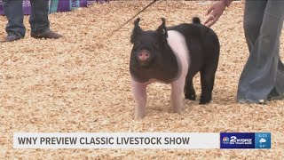 WNY Preview Classic Livestock Show [upl. by Kayle358]