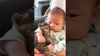 Cats love children 😍😍😍😍 catslove lovecatsforever cats loveforever [upl. by Fleurette]