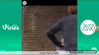 Marlon Webb Hood Harry Potter [upl. by Stalker]