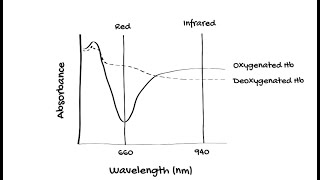 How does Pulse Oximetry work [upl. by Aik861]