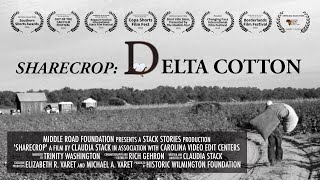 SHARECROP  Delta Cotton  Short Film [upl. by Rubio]