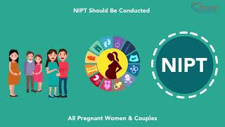 NonInvasive Prenatal Test – Test amp SignificanceMalayalam [upl. by Aitekram]