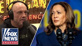 Joe Rogan reveals why Kamala Harris interview didnt happen [upl. by Pittman]