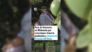 Paro de limoneros en Michoacán por extorsiones tirará la producción y encarecerá el precio del limón [upl. by Argyle61]