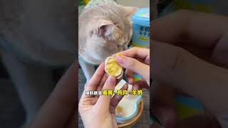 Let me see which kitten hasnt eaten this poached egg freezedried freezedried Beginner cat ow [upl. by Retsel]