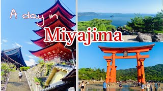 Magical Itsukushima Shrine a UNESCO World Heritage site  Exploring MIYAJIMA 宮島一日旅行 traveljapan [upl. by Grethel803]