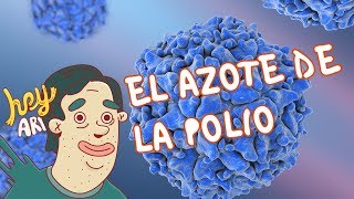 Heroes de la ciencia Jonas Salk el azote de la Polio  Hey Arnoldo [upl. by Rednas]