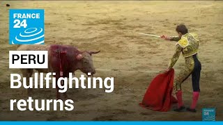 Bullfighting returns to historic Peru arena • FRANCE 24 English [upl. by Jez334]