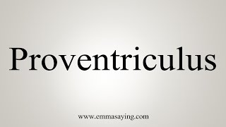 How To Say Proventriculus [upl. by Htims]