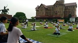 International Yoga Day Celebrated Across Jammu [upl. by Ennairod]