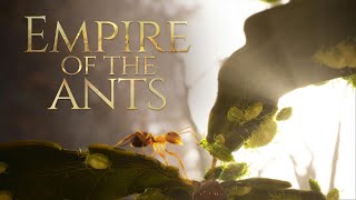 Empire of the Ants DEMO [upl. by Enimasaj568]