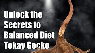 Unlock the Secrets to a Perfectly Balanced Tokay Gecko Diet – Dont Miss Out [upl. by Werbel977]