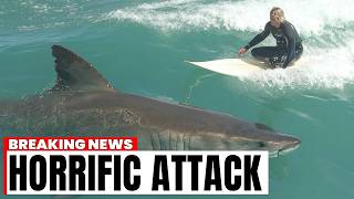 Surfer Encounters Great White Shark in California Then The Unexpected Happens [upl. by Mond]