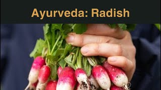 Big radish or small radish according to Ayurveda  ayurveda radish [upl. by Eph687]