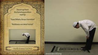 How to Pray  Asr Afternoon Pray  Fardh [upl. by Helse]