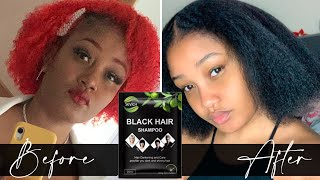 Dying Hair Black using Black Hair Shampoo [upl. by Travers]