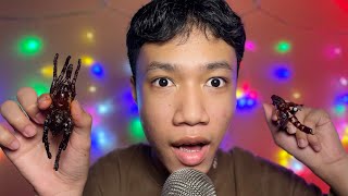 Eating REAL Bugs ASMR  Cambodian Exotic Food Mukbang [upl. by Arte]