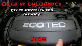 Olej w chlodnicy To nie uszczelka pod głowicą Zobacz zanim wydasz kasę na remont silnika  ecotec [upl. by Llenrrad]