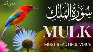 Surah Mulk tarjuma ke sath سورۃ ملکsurah mulk with urdu translationsurah mulk heart touching [upl. by Tedric]