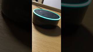 Amazon Alexa  Akinator [upl. by Kohn]