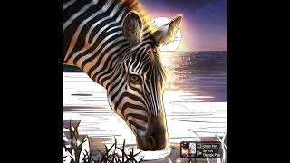 Zebra [upl. by Hester]