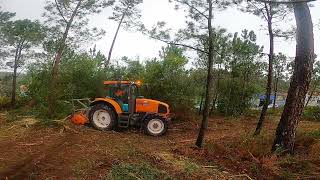 limpeza florestal 🌳🚜 [upl. by Marks]