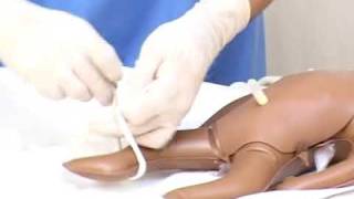 Basic neonatal resuscitation initial steps hindi [upl. by Loggins262]