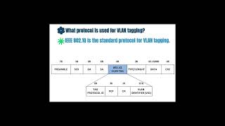 What Protocol is Used for Vlan Tagging ccna networktopology ccnanetworkengineer computernetwork [upl. by Germaine937]