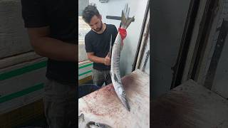 How to fillet a whole Barracuda fish  simple steps [upl. by Earahc]