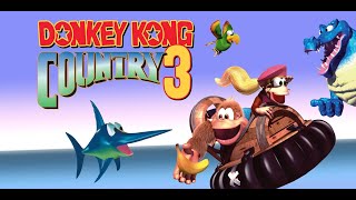 LIVE de Donkey Kong Country 3  Treino 30 [upl. by Newlin]