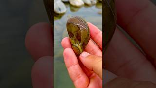 I need this stone 💎😱6000💰💵 real agate beach ytchannel stone [upl. by Cammy]