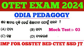 Target OTET Exam 2024  Odia Pedagogy MCQs  OTET Previous Years Odia MCQs  SSD TGT JT CTET Exam [upl. by Nadabas]