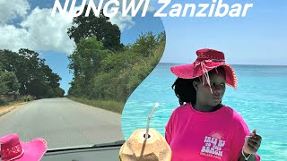 Vlog  Road Trip to Nungwi Zanzibar🇹🇿 [upl. by Savadove]