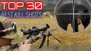 TOP 30 BEST HUNTING KILL SHOTS [upl. by Leahciam]