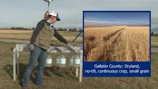 Soil Health Demonstration Rainfall Simulator [upl. by Aiym845]