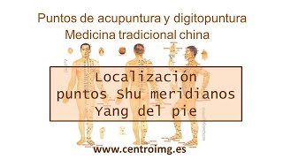 13 Puntos Shu de meridianos Yang del pie Acupuntura y digitopuntura Medicina China Centro IMG [upl. by Edals508]