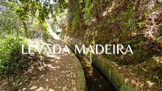 Easy Levada in Madeira  Levada Dos Tornos  Madeira Island [upl. by Einnig124]