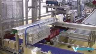 Viscon Hatchery Automation  Chick processing [upl. by Novi]