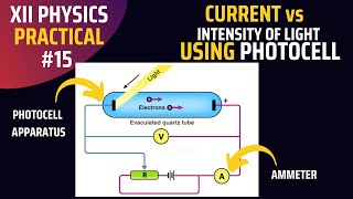 Variation of current with intensity of light using Photocell  2nd year Physics [upl. by Fredericka566]