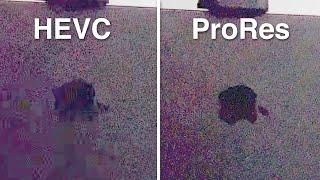 Why Shoot ProRes on the iPhone 13 Pro Realworld differences [upl. by Appleby115]