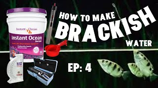 Brackish Water The EASY Way  BB Aquatics EP 4 [upl. by Nosyt16]