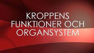 Människokroppen  organsystem [upl. by Peony]