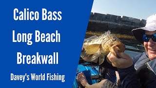 Calico Bass Fishing The Long Beach Breakwall  Kayak Fishing [upl. by Lovett]