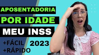 Como fazer o pedido CORRETAMENTE da aposentadoria por idade no MEU INSS [upl. by Ailem]