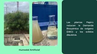 Video Toxicología Ambiental Practica en Tunja [upl. by Ofelia]