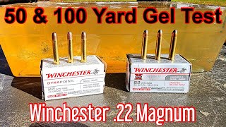 Winchester Super X amp Dyna Point 22WMR Ballistic Gel Test at 50 amp 100 Yards  22 Magnum [upl. by Resee983]