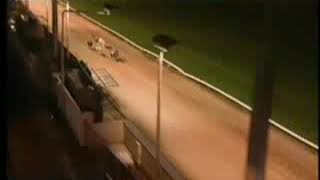 IGB  Sammy that’s the best I can do’ 08122018 Race 3  Drumbo Park [upl. by Dweck]